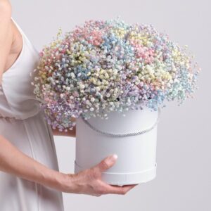 Box gypsophila
