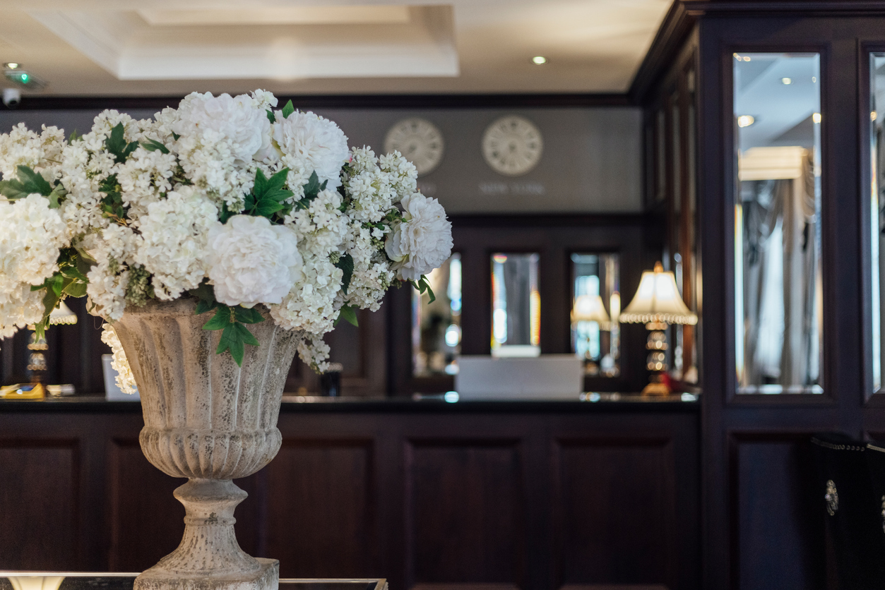 hydrangea-flowers-in-a-vase