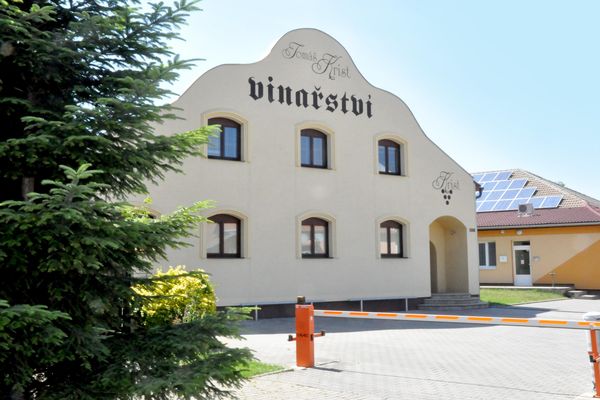 vinartsvi-krist